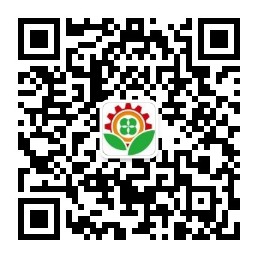 美耐皿仿瓷餐具成型機